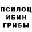 Галлюциногенные грибы мицелий Max Kachanov