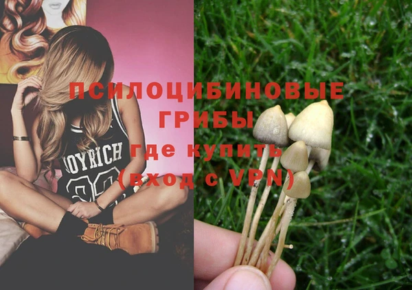 молекула духа Киреевск