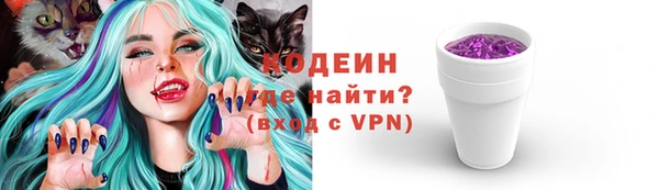молекула духа Киреевск