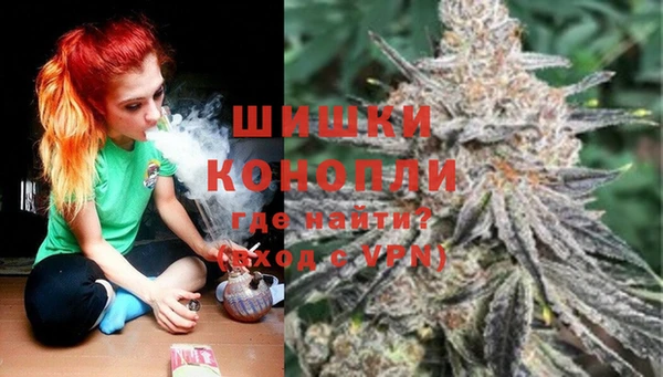 гидра Кинешма