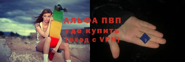 гидра Кинешма