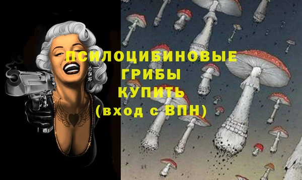 гидра Кинешма