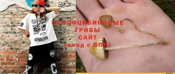 гидра Кинешма