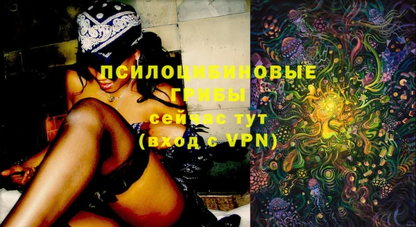 молекула духа Киреевск