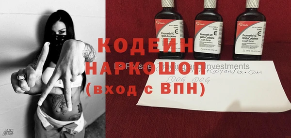 молекула духа Киреевск