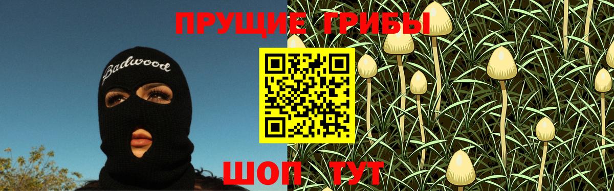 купить наркотик  Галлюциногенные грибы GOLDEN TEACHER  Калининград  Вход с VPN  Псилоцибиновые грибы прущие грибы 