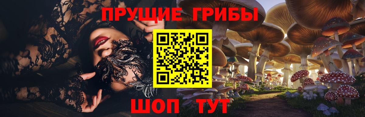 Галлюциногенные грибы Psilocybe Калининград